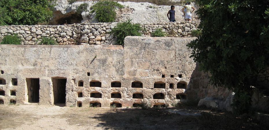 Image domaine public : wikimedia